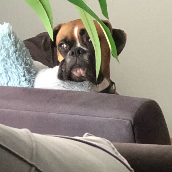 Hi guys!!! - Picture 7 of 11